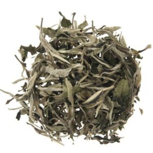 SILVER MOONLIGHT WILD WHITE